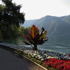 Lugano am Luganersee