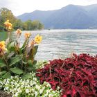 Lugano lake