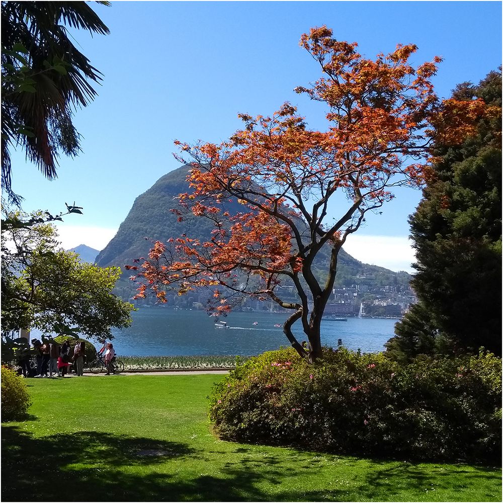 Lugano, Parco Ciani