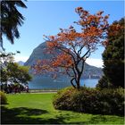 Lugano, Parco Ciani