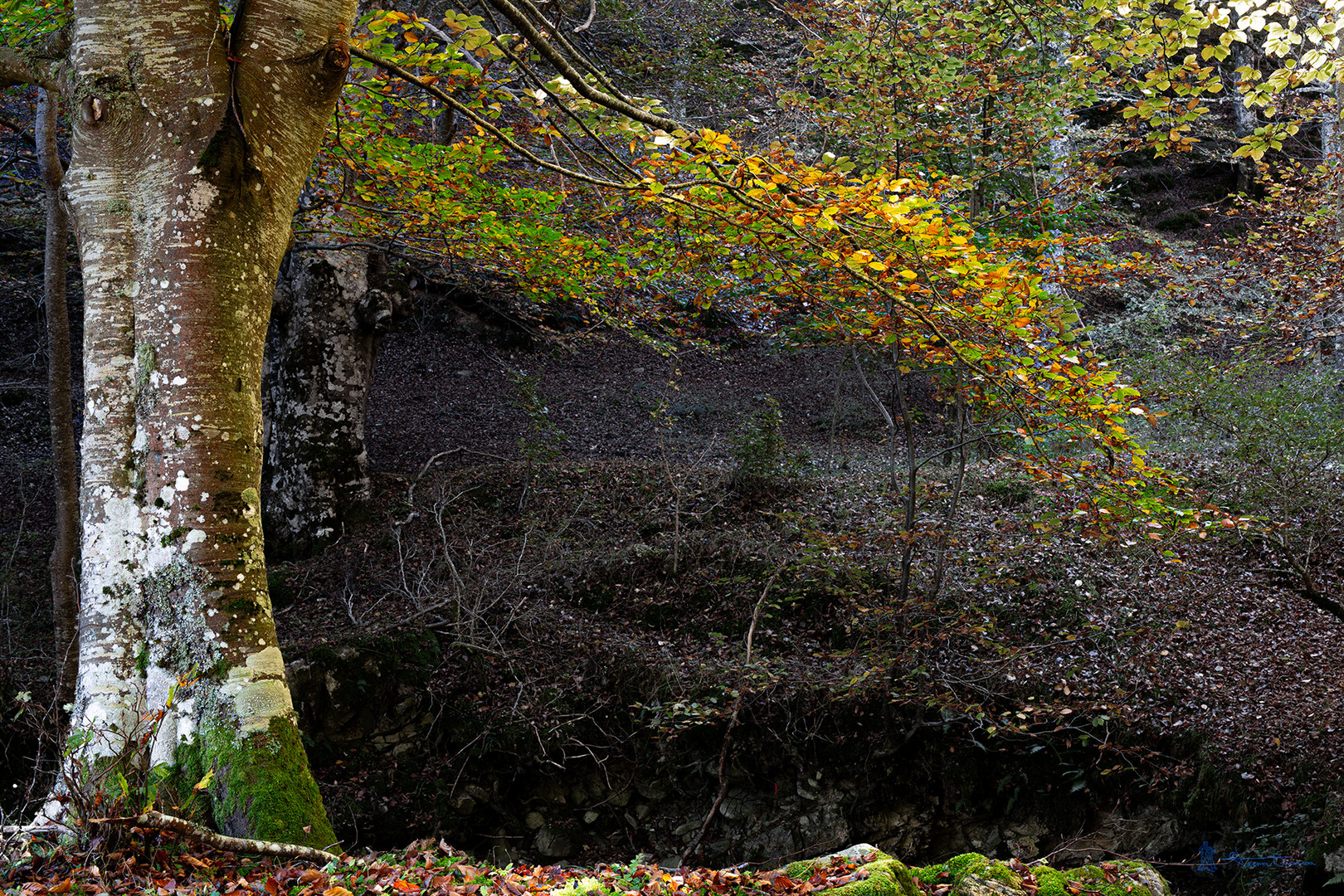 Lugar del Río