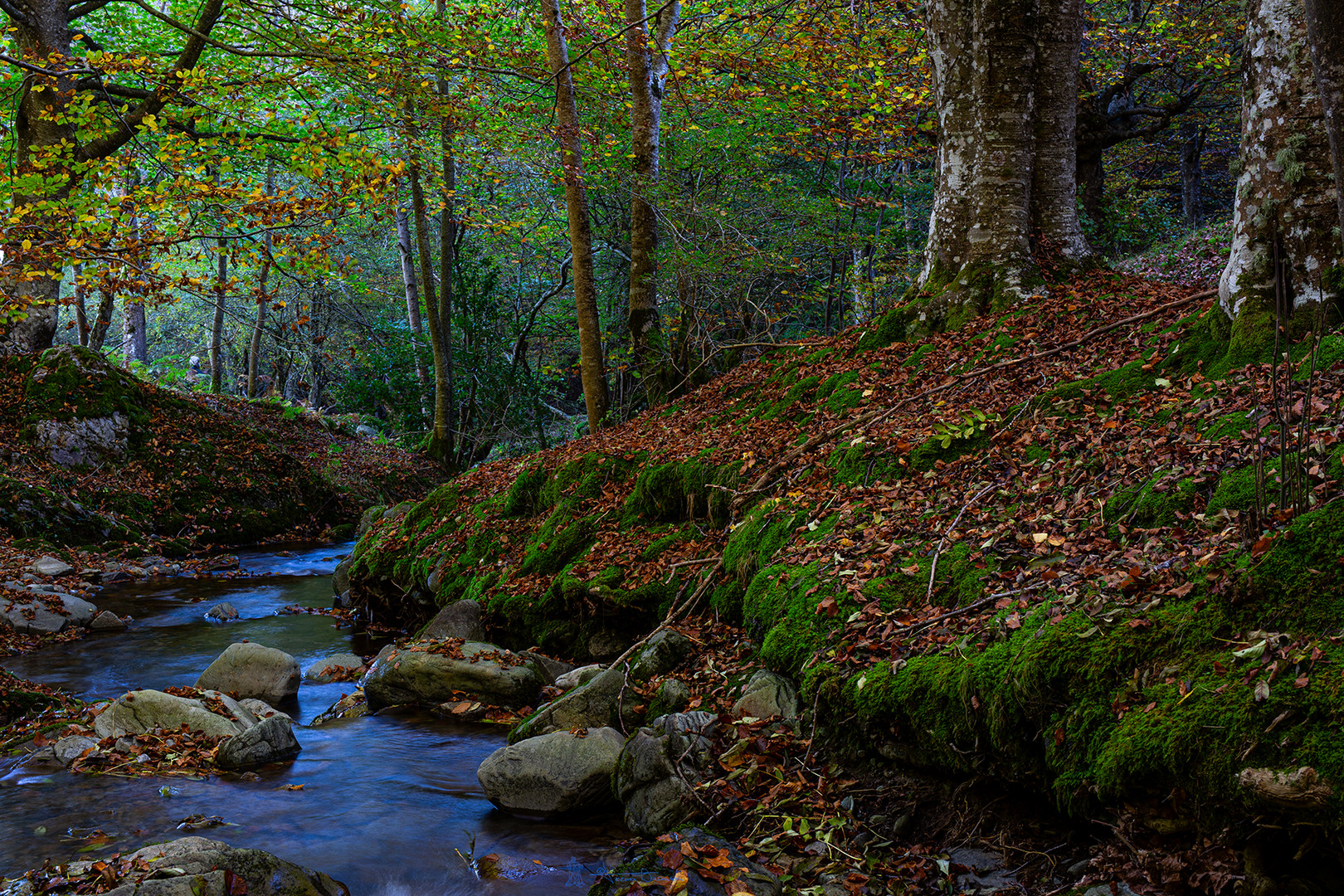 Lugar del río