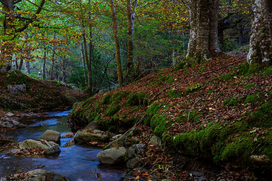 Lugar del río