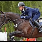 Luhmühlen CCI **** 2010 - Andreas Ostholt (GER)