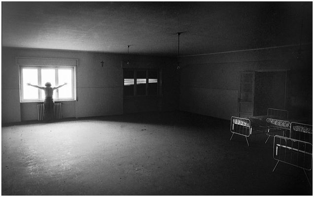 lui 10.....Vivere-Sopravvivere-Esistere