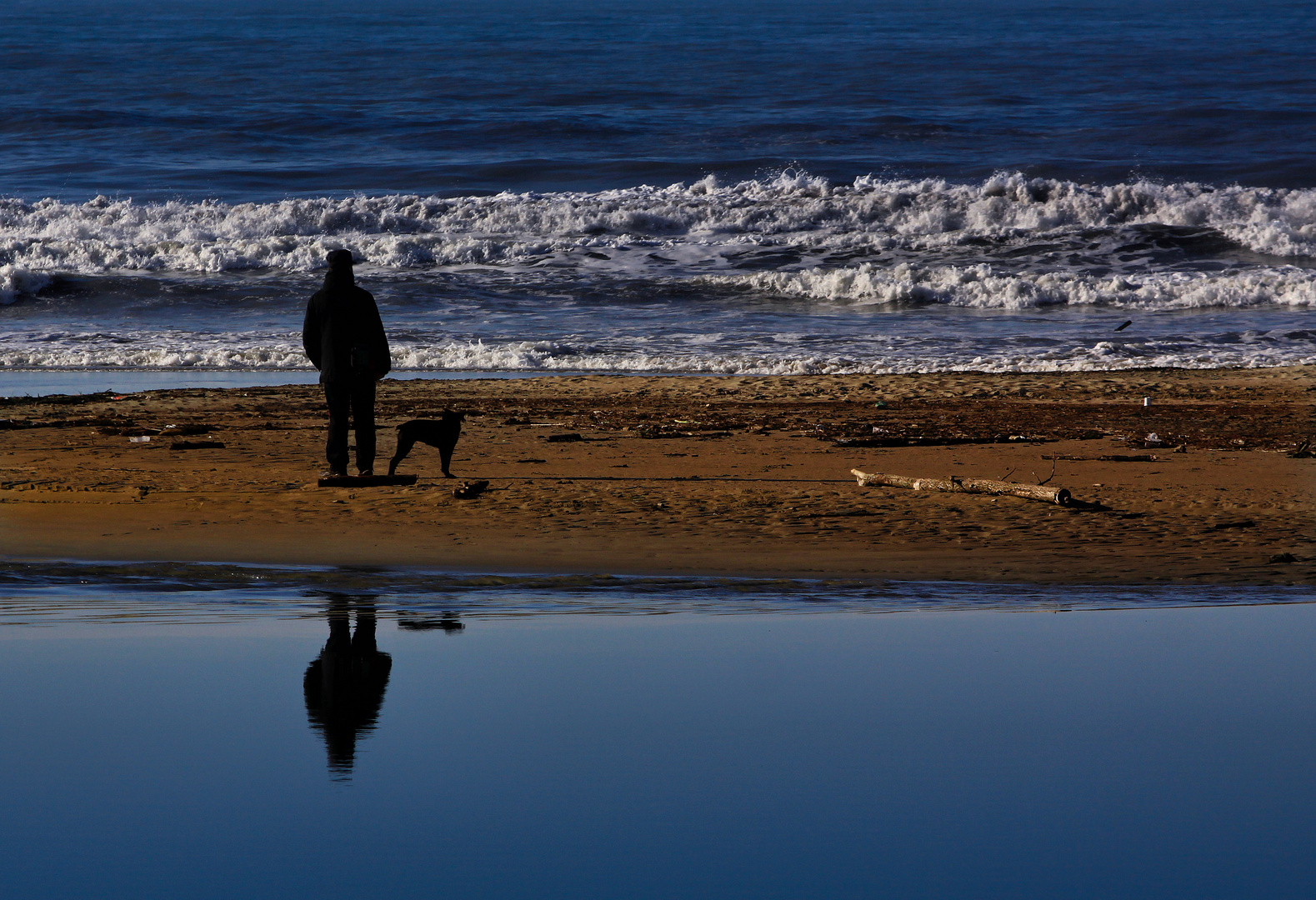 Lui, il suo cane e............... il mare