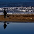 Lui, il suo cane e............... il mare