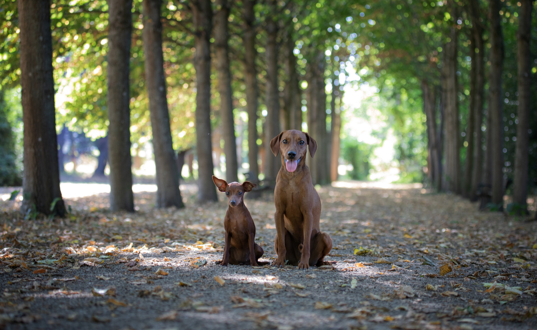 Luise und Max