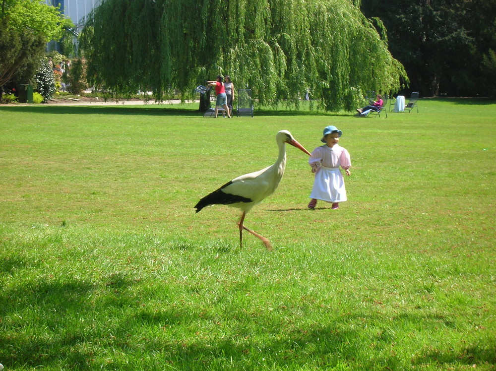 Luisen-Park Mannheim