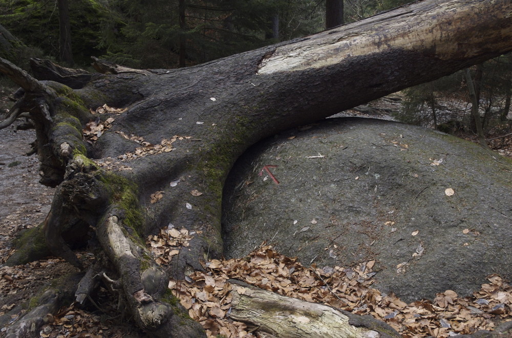 Luisenburg Labyrinth