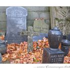 Luisenfriedhof Berlin