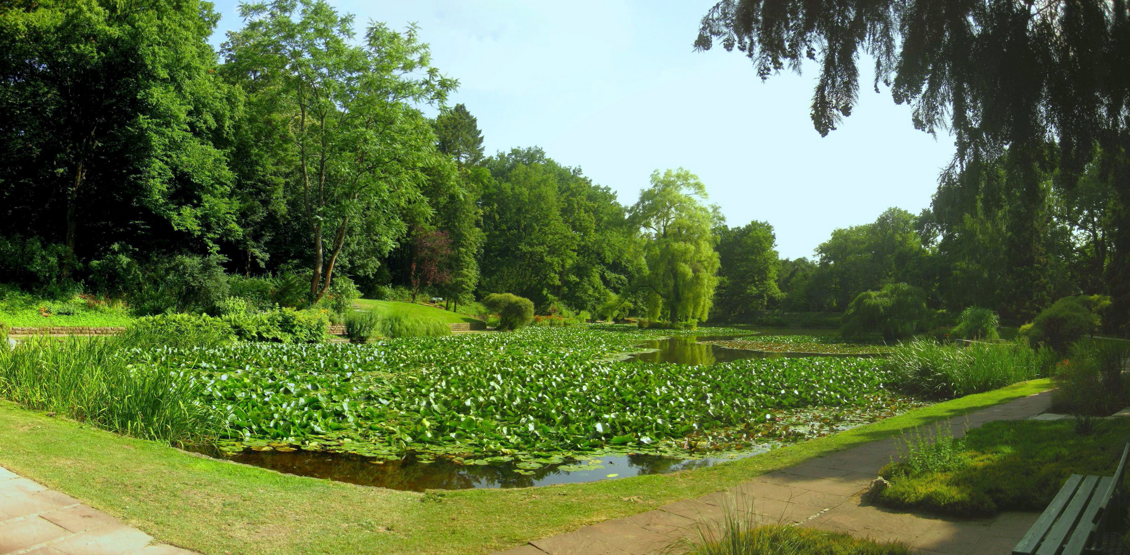 Luisenpark Bamberg - Hainweiher