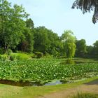 Luisenpark Bamberg - Hainweiher