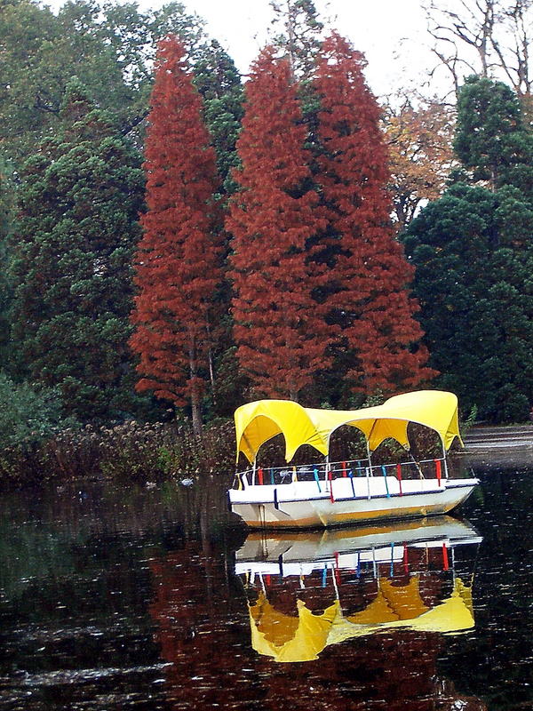 Luisenpark / Mannheim