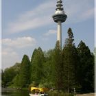 Luisenpark Mannheim