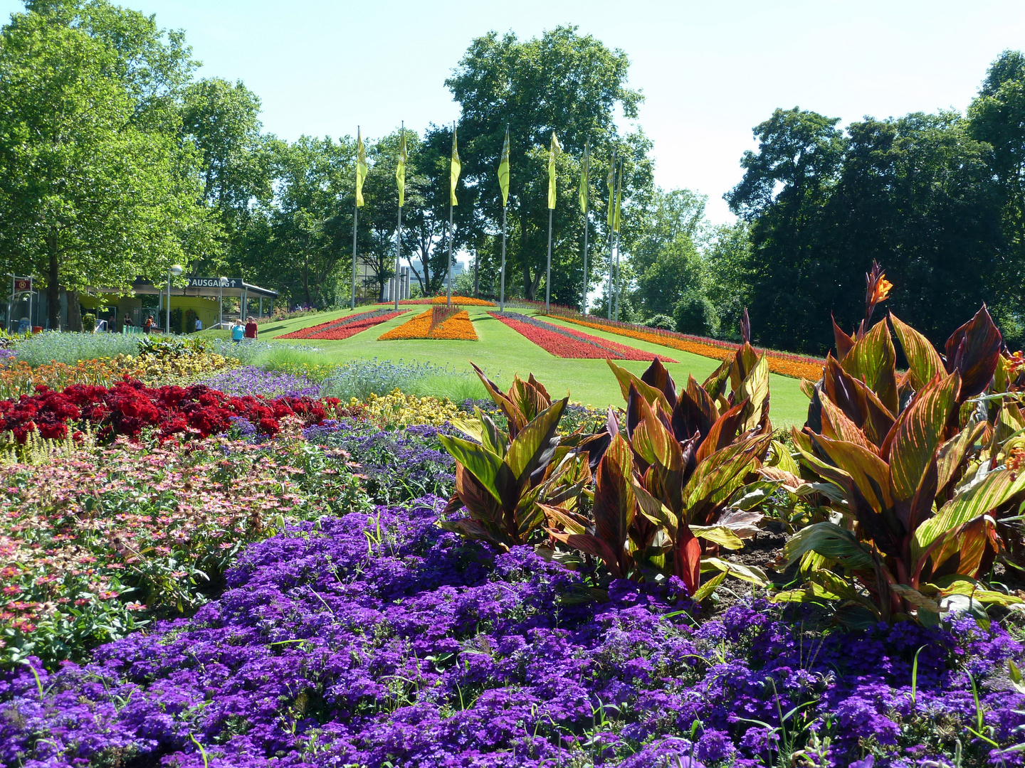 Luisenpark Mannheim Foto & Bild pflanzen, pilze & flechten, blüten