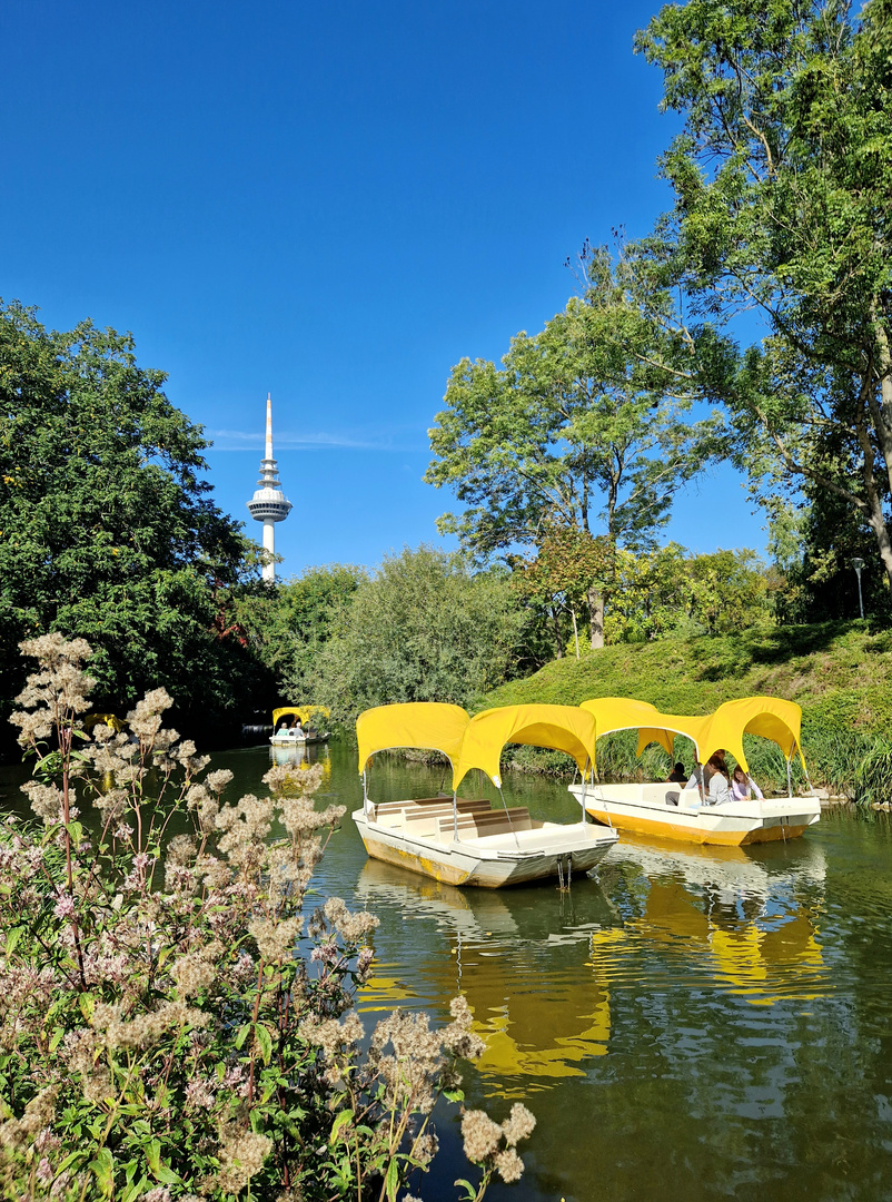 Luisenpark Mannheim