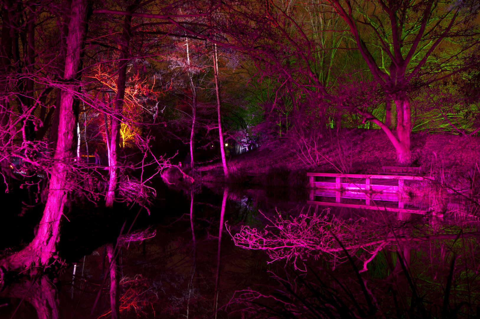 Luisenpark Mannheim - Winterlichter