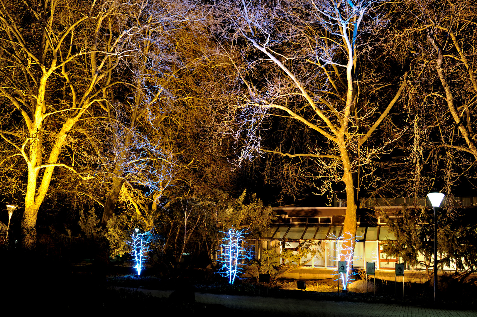 Luisenpark Winterlichter 2