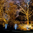 Luisenpark Winterlichter 2