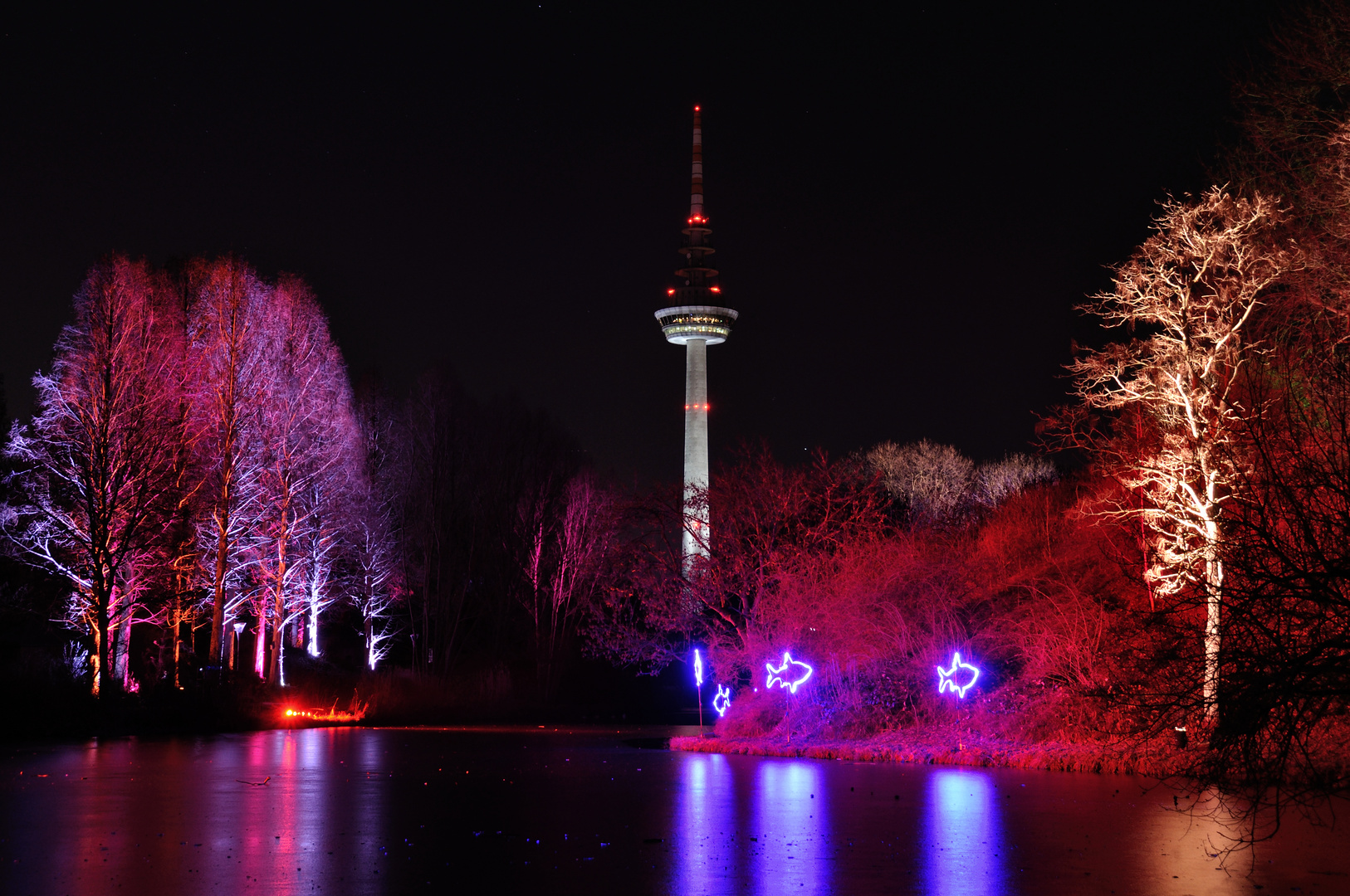 Luisenpark Winterlichter 3