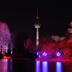 Luisenpark Winterlichter 3