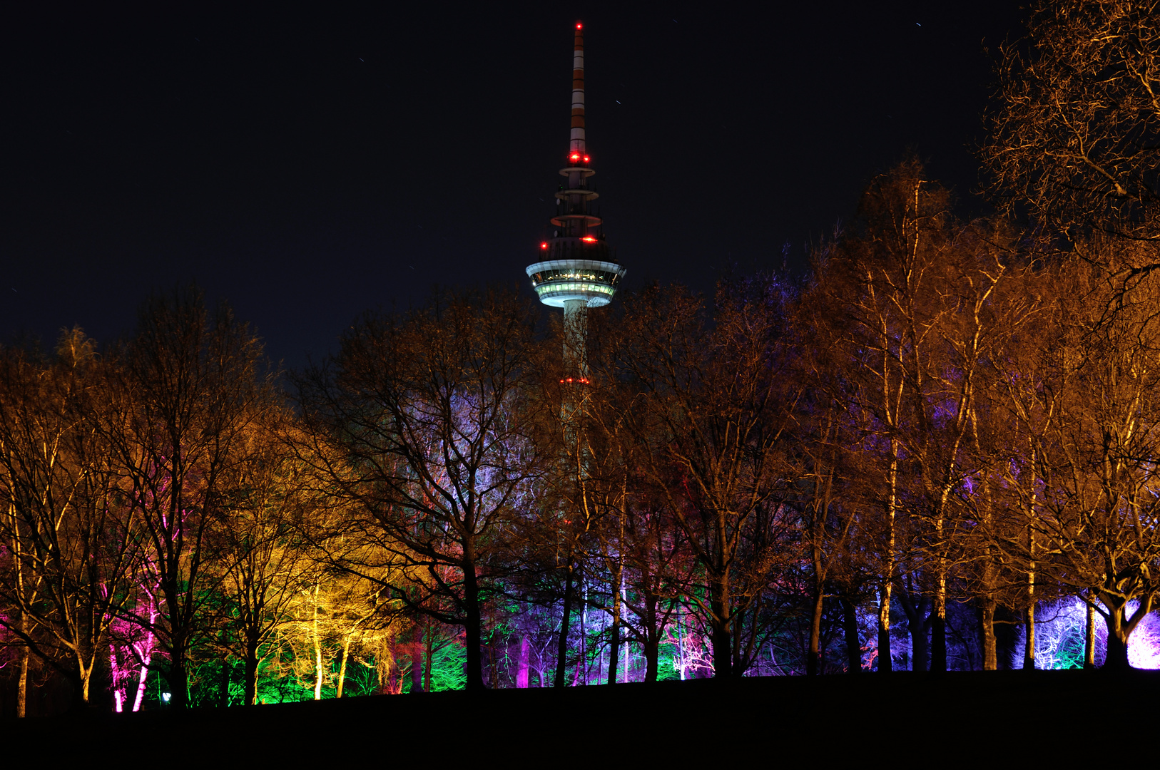 Luisenpark Winterlichter 4