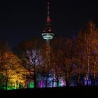 Luisenpark Winterlichter 4