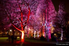 Luisenpark Winterlichter II 2016