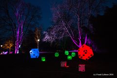 Luisenpark Winterlichter III 2016