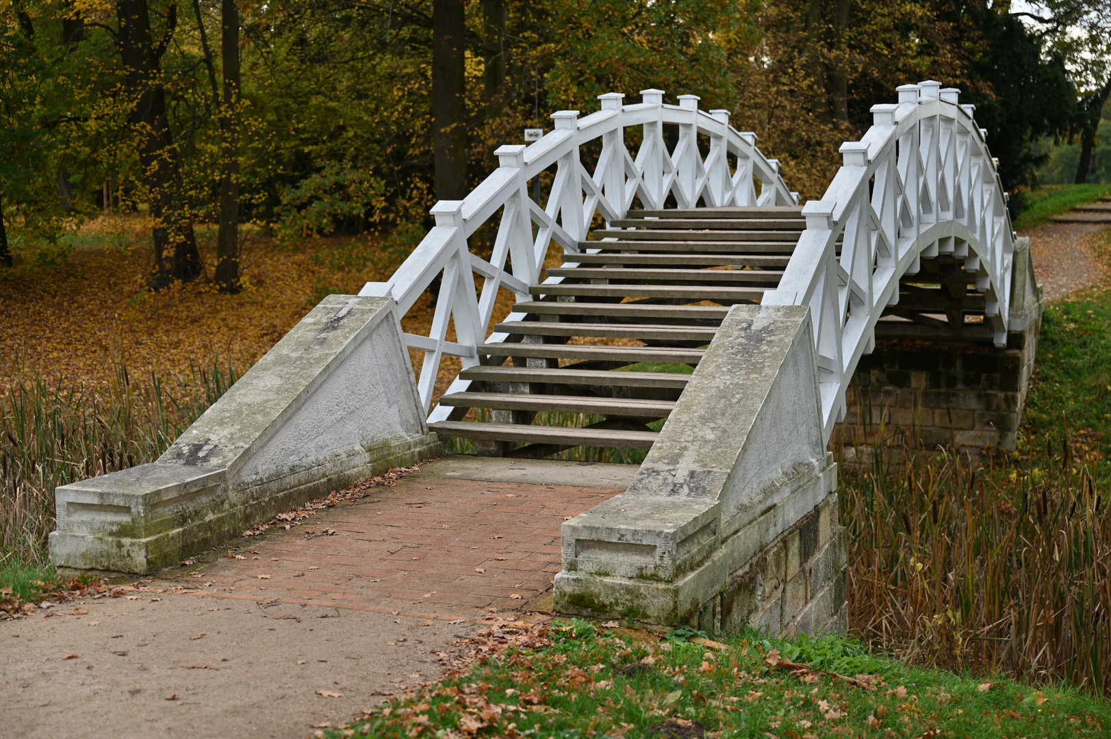 Luisium Brücke