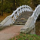 Luisium Brücke