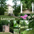 Luisium in Dessau