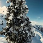 Lukas Goller at Sonnenkopf