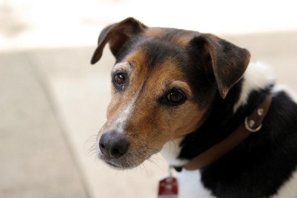 Lukas unser Oltimer mit 12 Jahren