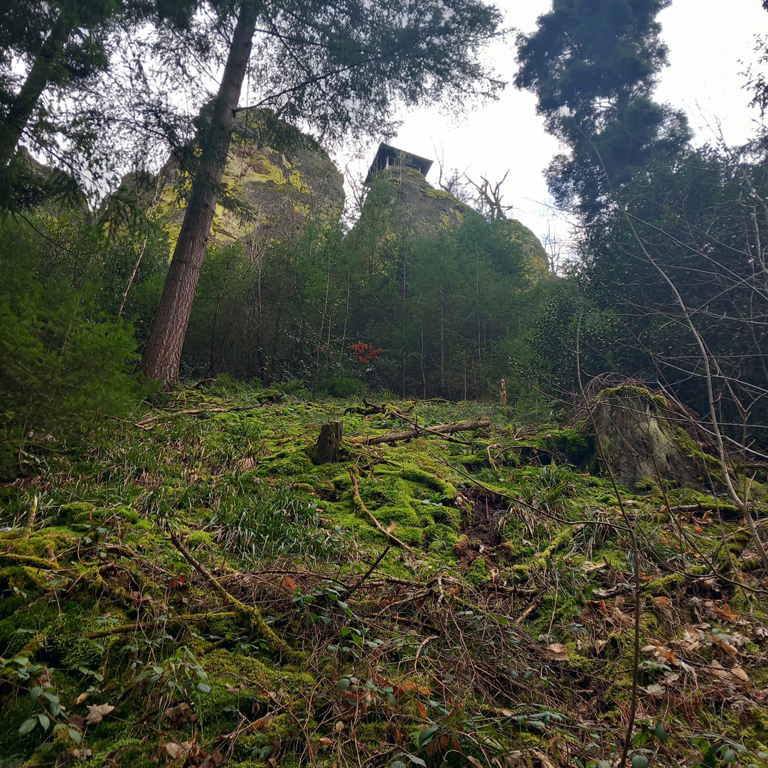 Lukashütte, Wolfschlucht. Baden Baden