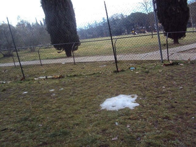 L'ultima neve al parco del Pionta ad Arezzo