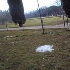 L'ultima neve al parco del Pionta ad Arezzo