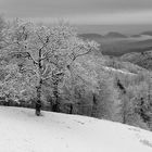 L'ultima neve di gennaio.