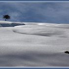 L'ultima neve di primavera