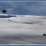 L'ultima neve di primavera