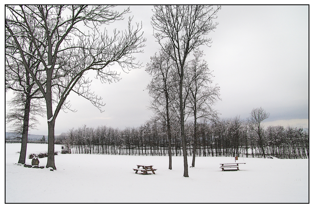 L'ULTIMA NEVE