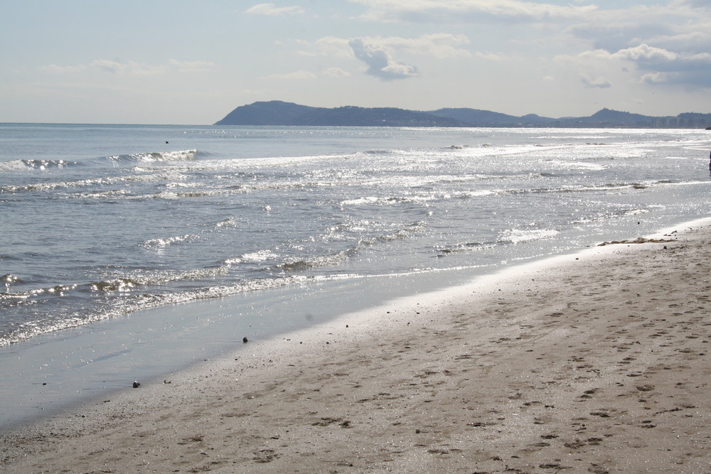 L'ultima spiaggia