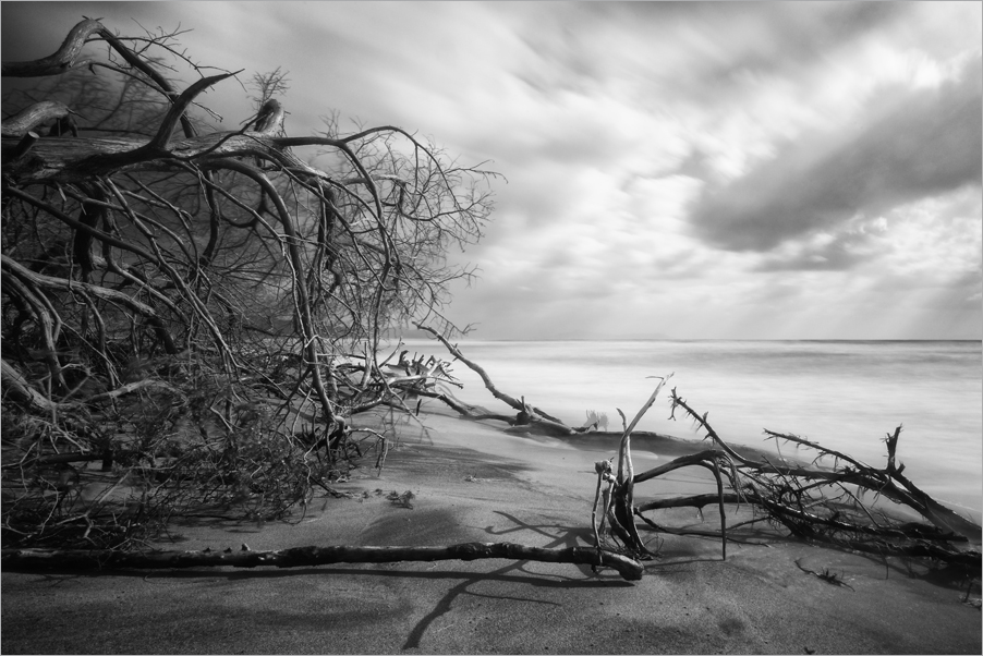 L'ultima spiaggia