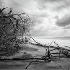 L'ultima spiaggia