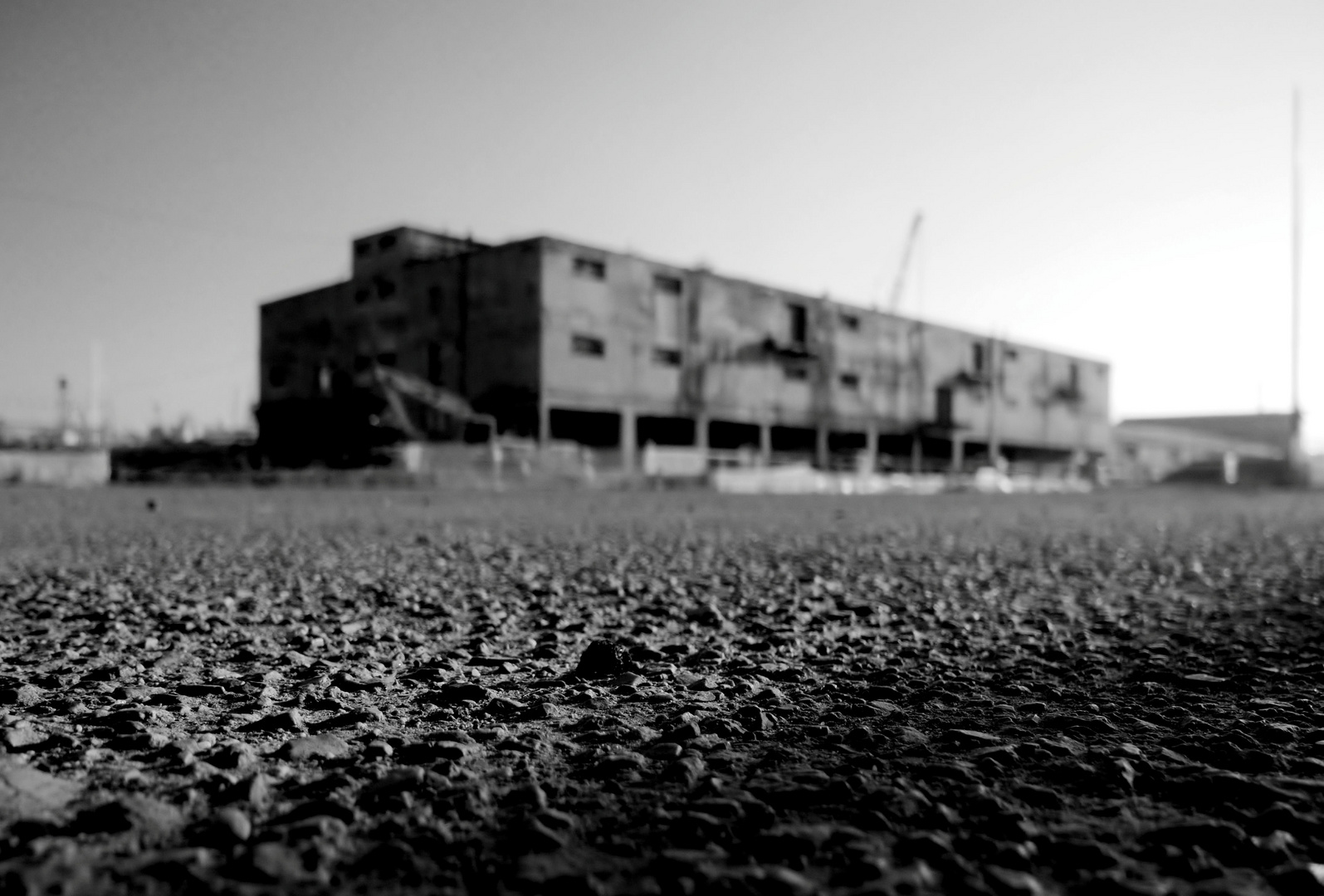 L'ultimo deposito della memoria (Ponte Parodi, porto di Genova)