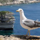 L'ultimo guardiano