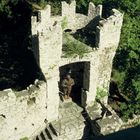 L'ultimo guardiano del castello .