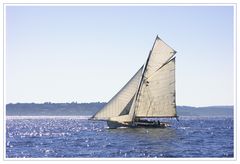 "Lulu" bei den Voiles de St Tropez