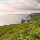 Lulworth Jurassic Coast